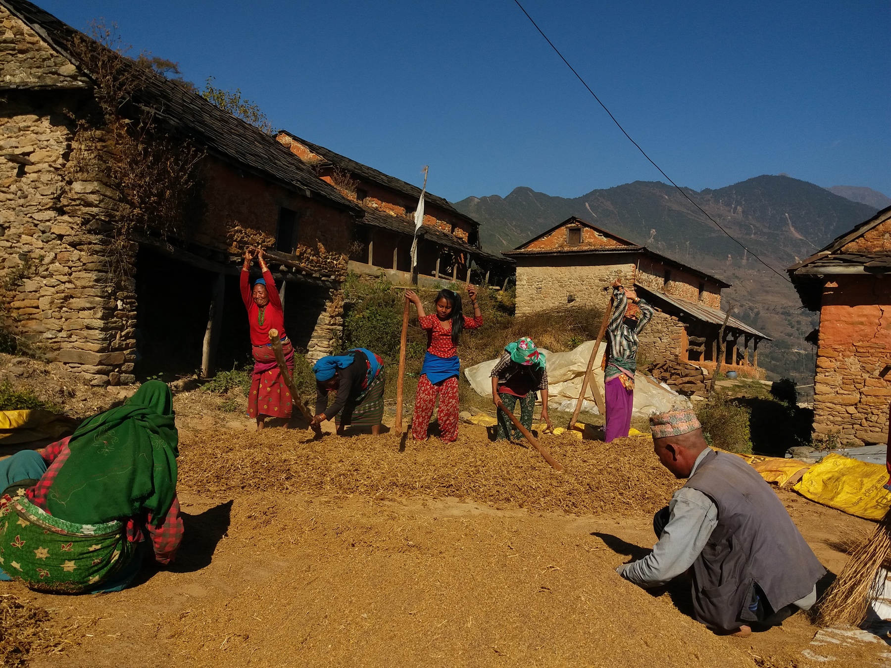 कादो भित्र्याउने तयारीमा स्थानीयवासी