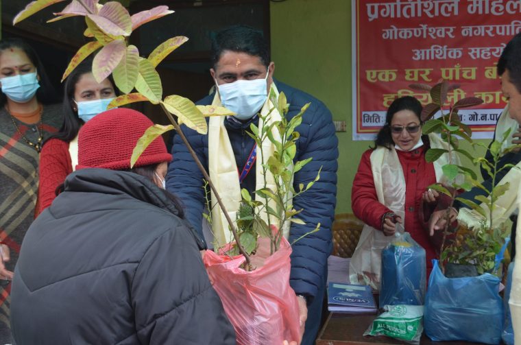 गोकर्णेश्वर नगरपालिका वडा नं  ७  मा एक घर पांच बिरुवा अभियान