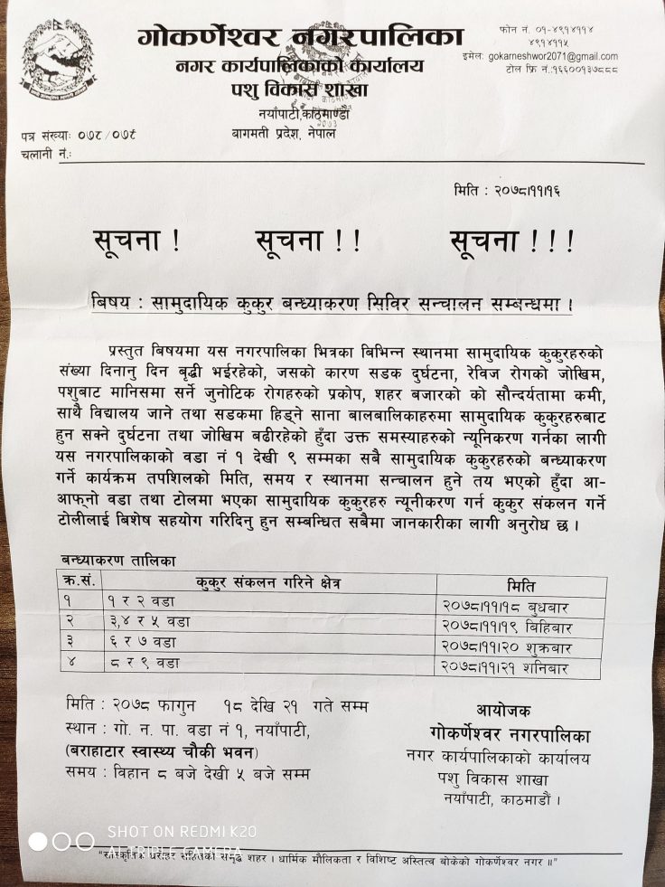 गोकर्णेश्वर नगरपालिका पशु बिकाश शाखाले सामुदायिक कुकुर बन्ध्याकरण शिविर संचालन  गर्दै