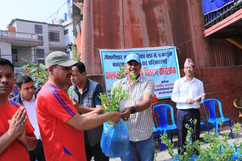 गोकर्णेश्वर  वडा नं ५ बासुकी नगरका स्थानीय घर परिवारलाई फलफुलको विरुवा वितरण