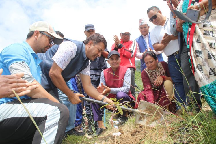 गोकर्णेश्वरको तारेभिरमा रोपियो लालीगुराँसका बिरुवा