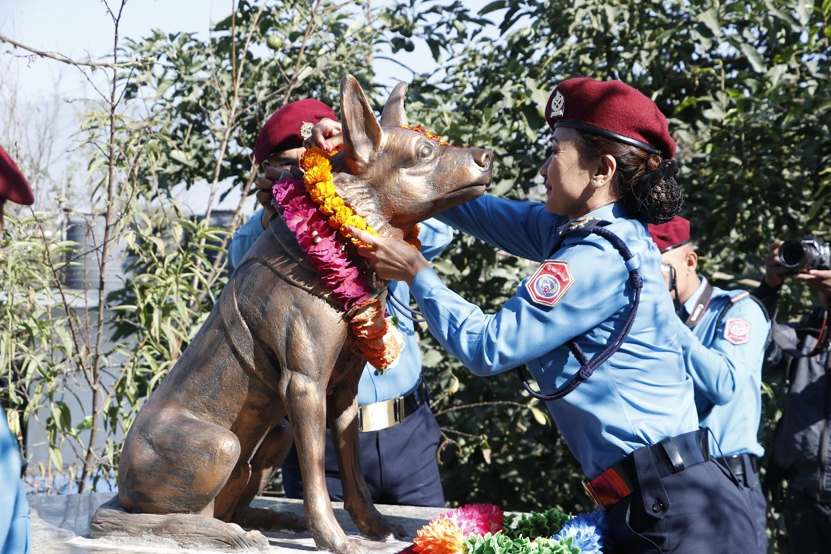 केनाईन कार्यालय महाराजगंजमा कुकुर पूजा सम्पन्न