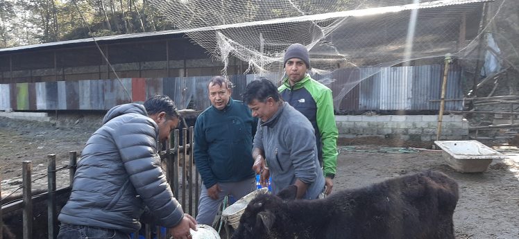 विविध सामाजिक कार्य गर्दै  मानव अधिकार तथा शान्ति समाज काठमाडौं शाखाले विश्व स्वयंसेवक दिवस मनायो