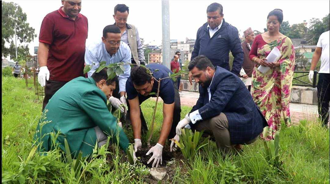 गोकर्णेश्वर नगरपालिका र पुडासैनि मैत्रि समाजको सहकार्यमा जापनिज साकुराका विरुवाहरु वृक्षारोपण